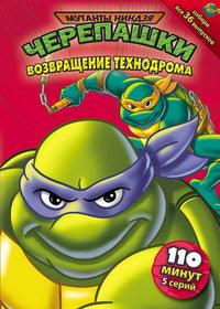 Teenage Mutant Ninja Turtles Movie Poster Print 11 x 17