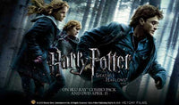Harry Potter and the Deathly Hallows: Part I Movie Poster Print
