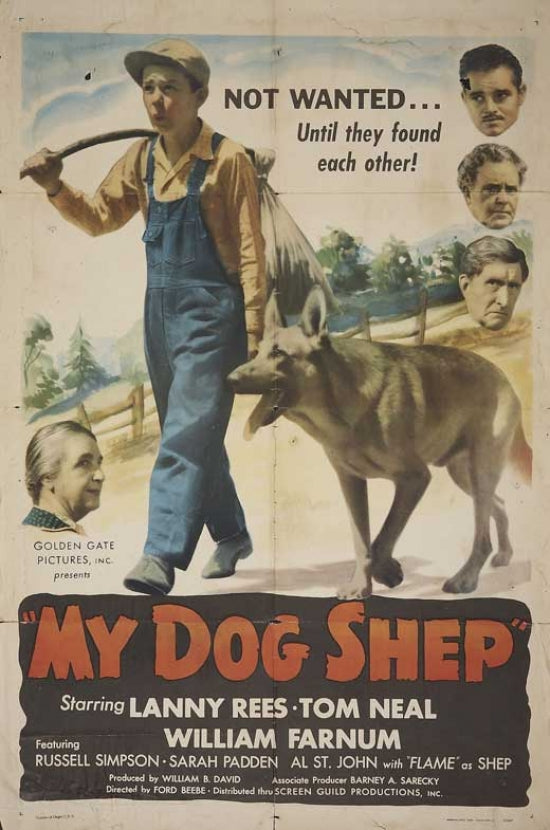 My Dog Shep Movie Poster showcasing a boy and his dog in a classic film scene.