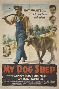 My Dog Shep Movie Poster showcasing a boy and his dog in a classic film scene.