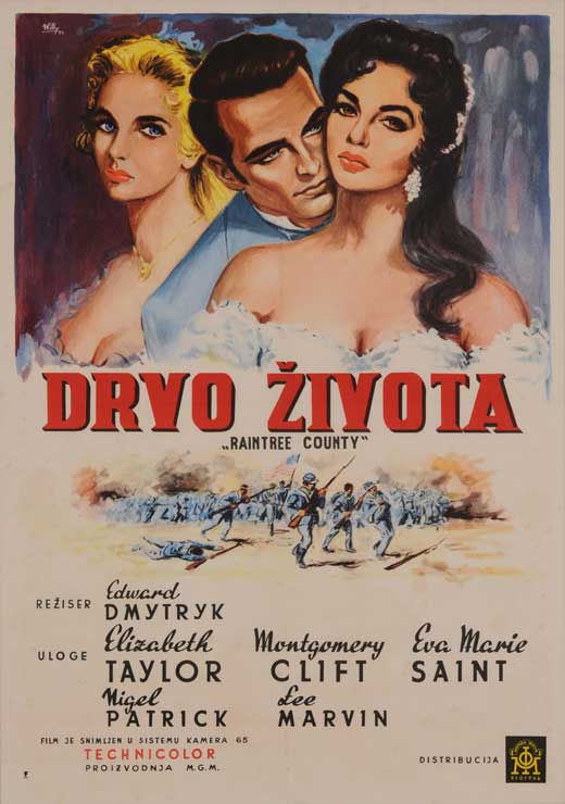 Raintree County Movie Poster Print showcasing classic film art.