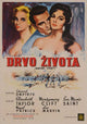 Raintree County Movie Poster Print showcasing classic film art.
