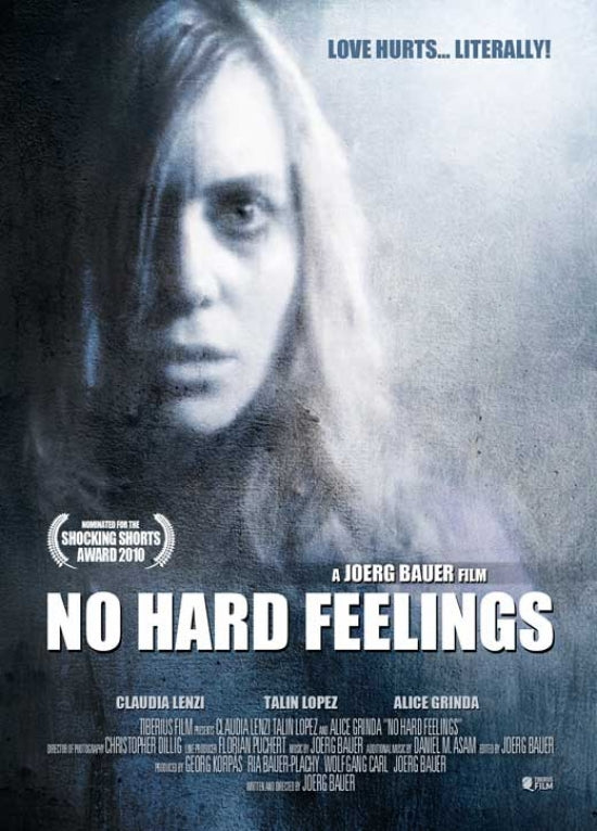 No Hard Feelings Movie Poster Print showcasing vibrant artwork.