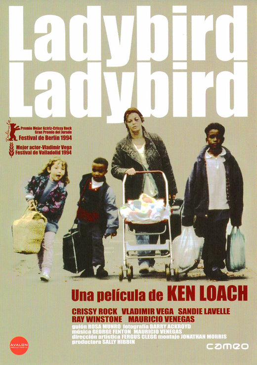 Ladybird Movie Poster Print featuring vibrant design and colors.