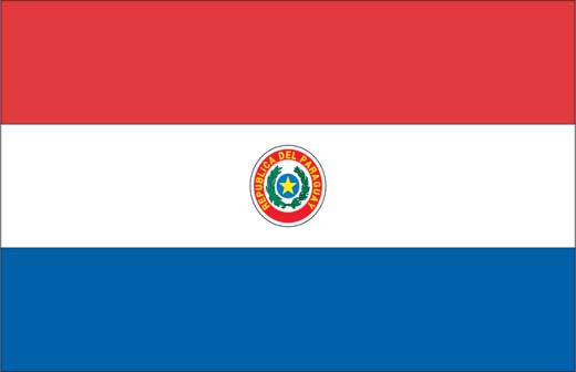 World Cup Soccer 2010 Movie Poster Print featuring vibrant colors and soccer theme.