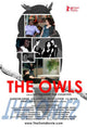 The Owls movie poster print featuring vivid colors and striking imagery.