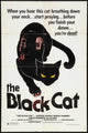 The Black Cat Movie Poster Print showcasing classic horror cinema.