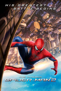 The Amazing Spider-Man 2 Movie Poster Print (27x40)