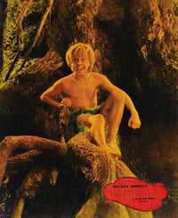 A Midsummer Night's Dream Movie Poster Print showcasing whimsical design.