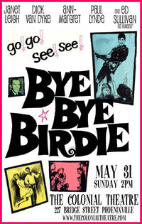 Bye Bye Birdie Movie Poster Print showcasing vibrant artwork from the classic film.