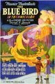 The Blue Bird Movie Poster Print showcasing vibrant colors and enchanting imagery.