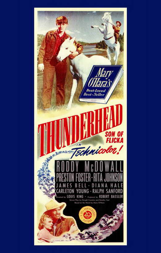 Thunderhead - Son of Flicka Movie Poster Print showcasing the classic film poster design.