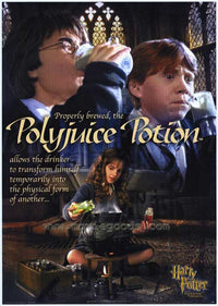 Harry Potter and the Chamber of Secrets Movie Poster Print