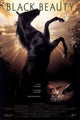 Black Beauty Movie Poster Print showcasing the classic equestrian tale.