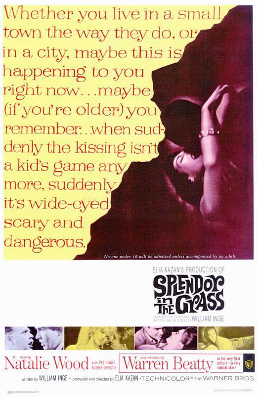 Splendor in the Grass Movie Poster Print featuring classic film art.