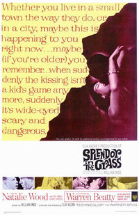 Splendor in the Grass Movie Poster Print featuring classic film art.