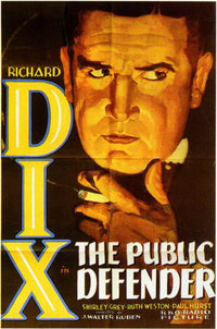 The Public Defender Movie Poster Print - 11x17 | Posterazzi