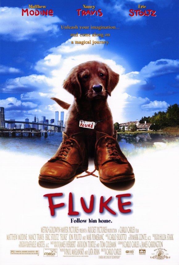 Fluke Movie Poster Print showcasing cinematic artwork.
