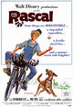 Rascal Movie Poster Print featuring colorful artwork.