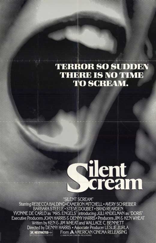 Silent Scream movie poster print showcasing haunting imagery.