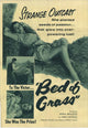 Bed of Grass Movie Poster Print showcasing vibrant colors and detailed imagery.