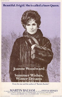 Summer Wishes Winter Dreams Movie Poster Print showcasing vibrant artwork.
