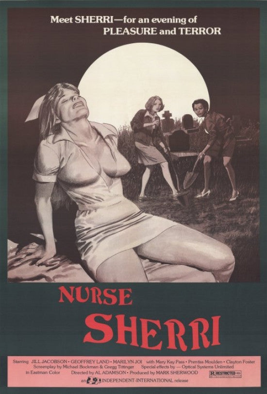 Nurse Sherri Movie Poster Print (11x17) - Pop Culture Graphics