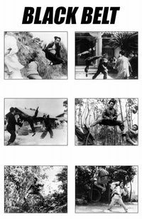 Black Belt Movie Poster Print featuring iconic film artwork.