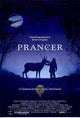 Prancer Movie Poster Print (11x17) | Posterazzi