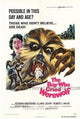 The Boy Who Cried Werewolf movie poster featuring dramatic artwork.