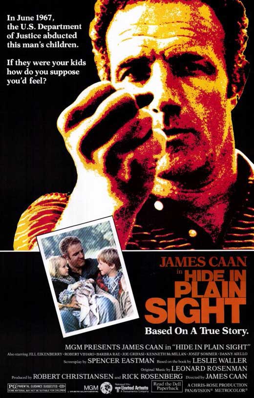 Hide in Plain Sight Movie Poster Print showcasing vibrant imagery.