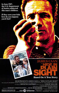 Hide in Plain Sight Movie Poster Print showcasing vibrant imagery.