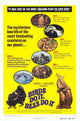 Birds Do It Bees Do It Movie Poster Print showcasing whimsical nature theme.