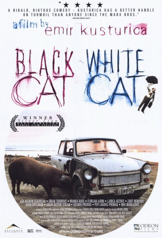 Black Cat and White Cat Movie Poster Print featuring two contrasting felines.
