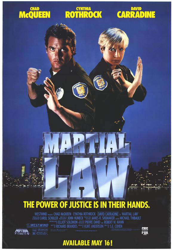 Martial Law II: Undercover Movie Poster Print showcasing dynamic martial arts action.