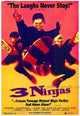 3 Ninjas Movie Poster Print (11x17) | Posterazzi