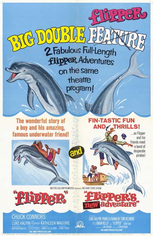 Flipper's New Adventure Movie Poster Print featuring a playful dolphin.