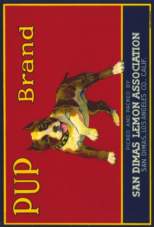 Pup Brand Lemons Movie Poster Print featuring vibrant lemon motifs.