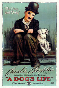 A Dog's Life Movie Poster Print - 27 x 40