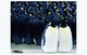March of the Penguins Movie Poster Print depicting Emperor penguins in Antarctica.