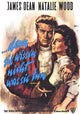 Rebel Without a Cause Movie Poster Print featuring iconic film imagery.
