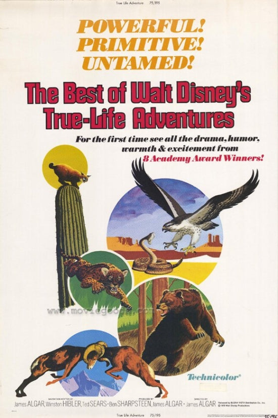 The Best of Walt Disney's True-Life Adventures Movie Poster Print