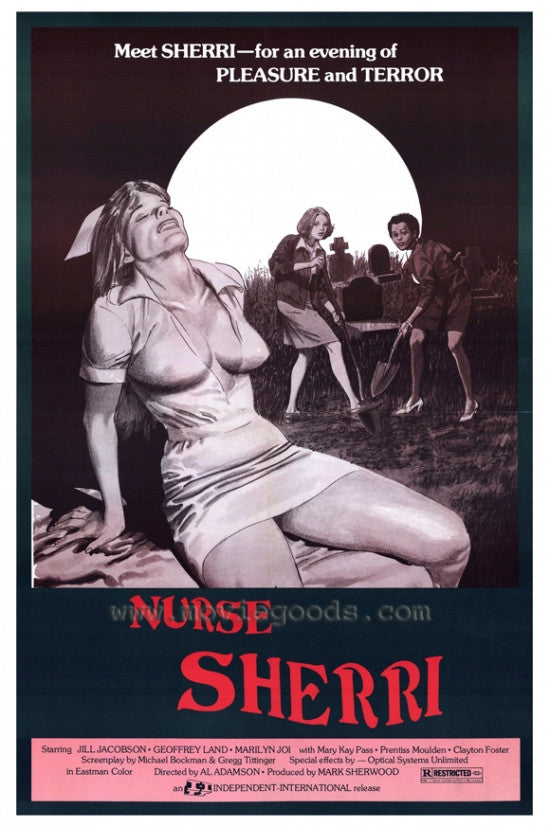 Nurse Sherri Movie Poster Print 27x40 | Posterazzi