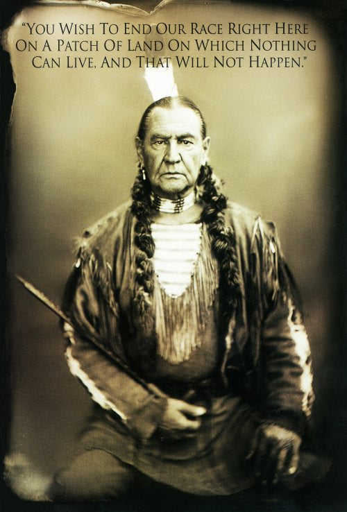Bury My Heart at Wounded Knee Movie Poster Print showcasing Native American history.