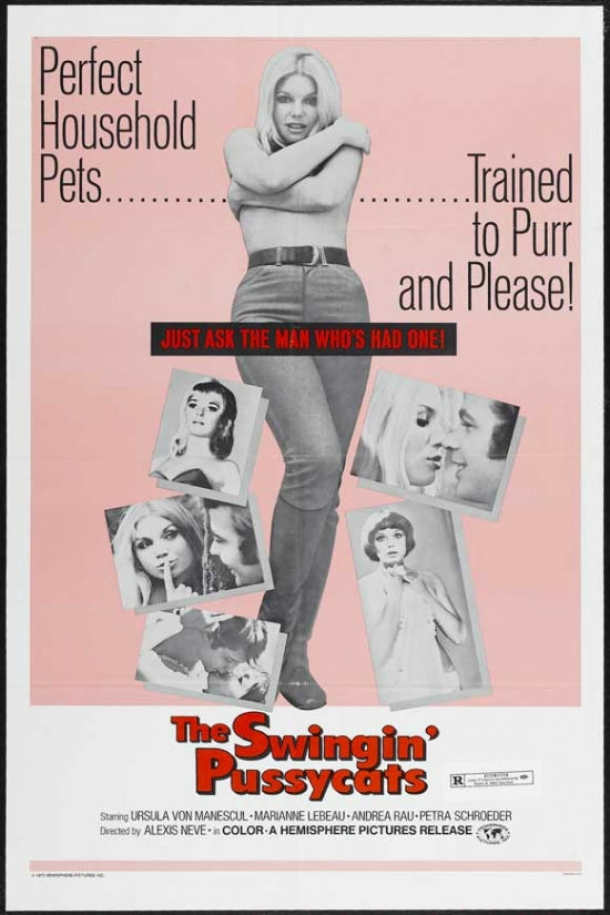 The Swingin' Pussycats Movie Poster Print featuring vibrant artwork