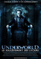 Underworld 3: Rise of the Lycans Movie Poster Print featuring dramatic artwork.