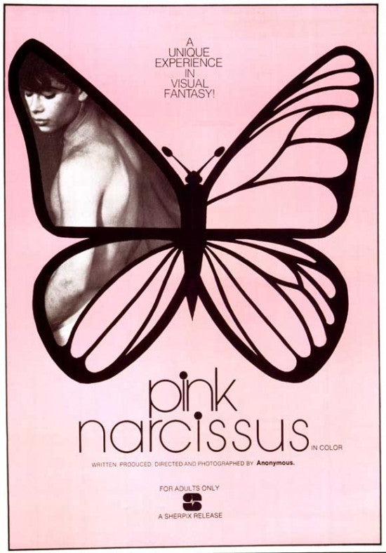 Pink Narcissus Movie Poster Print 27x40 | Pop Culture Graphics