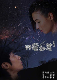 My Kung Fu Sweetheart Movie Poster Print showcasing martial arts film theme.