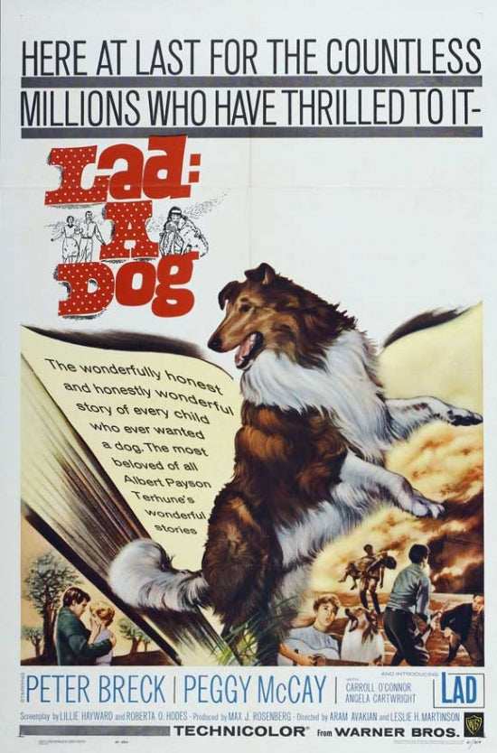 Lad A Dog Movie Poster Print featuring a charming dog scene.