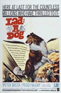 Lad A Dog Movie Poster Print featuring a charming dog scene.